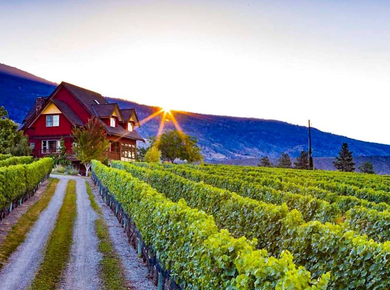 River Stone estate winery